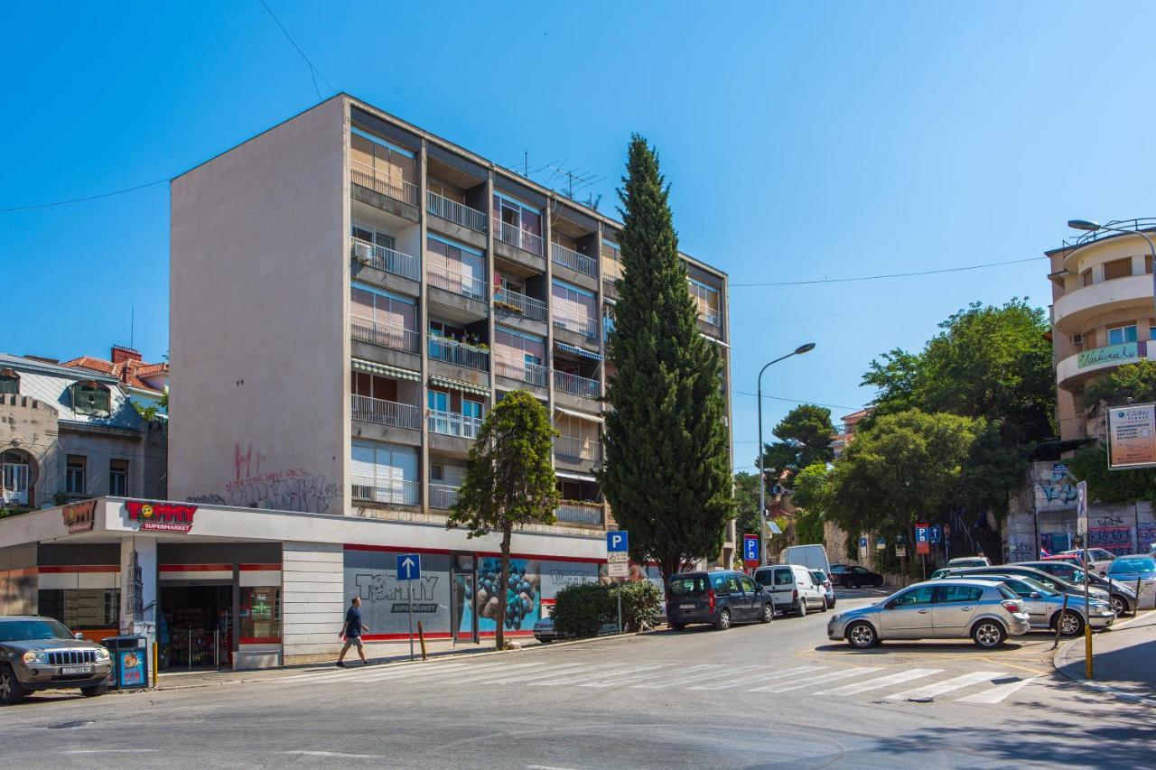 Dodo Apartment